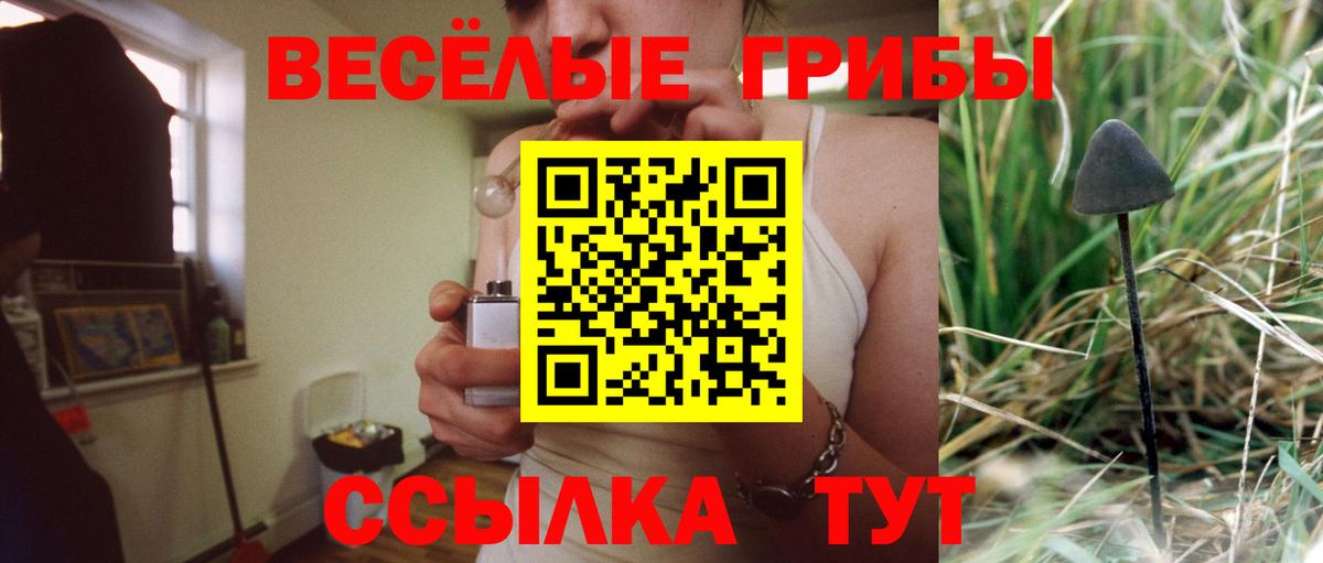 Лесной  купить закладку  Вход с VPN  Псилоцибиновые грибы прущие грибы 